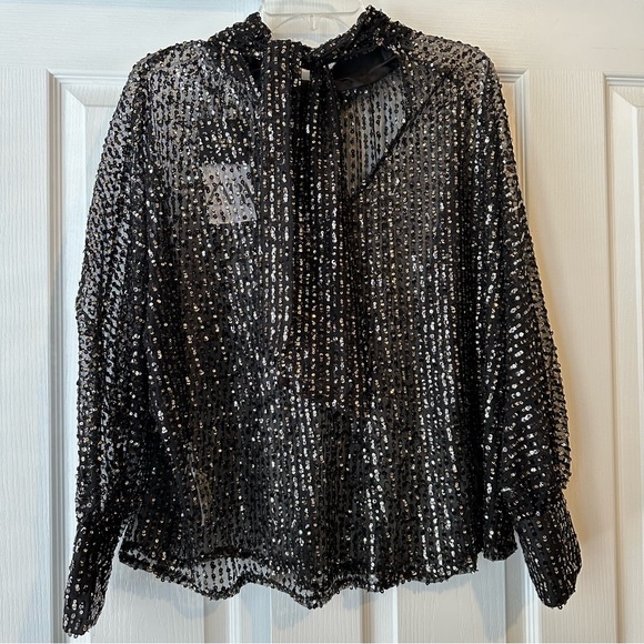 New Zara $69 Tied Collar Gold Sequin Semi Sheer Blouse 9127/572 Small - Picture 11 of 14